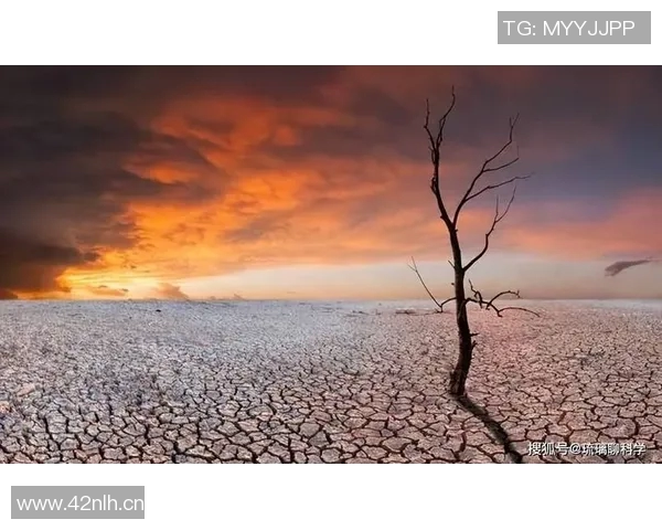 全球气候变化加剧极端天气事件 未来十年或将迎来更多极端气候挑战 全球气候变化加剧极端天气事件 未来十年或将迎来更多极端气候挑战