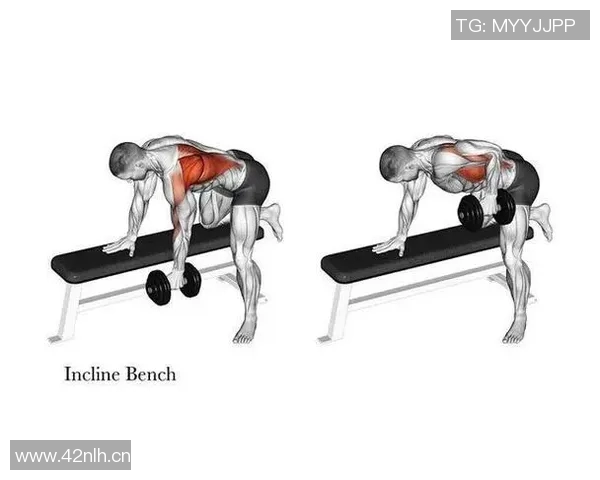 健身训练技巧全攻略:打造完美身材的秘诀分享 健身训练技巧全攻略:打造完美身材的秘诀分享